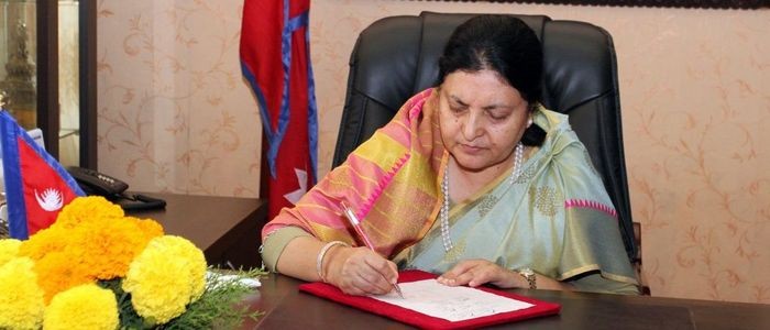 सबै सुविधा र अवसरमा फरक क्षमता भएकाहरुको समान पहुँच स्थापित गरिनुपर्नेमा राष्ट्रपतिको जोड