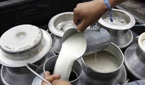 दूध नबिक्दा समस्यामा किसान, दैनिक १३ लाख क्षति