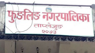 मेयरकप हेर्न सार्वजनिक बिदा