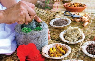 सङ्क्रमितलाई घरमै आयुर्वेदिक औषधि