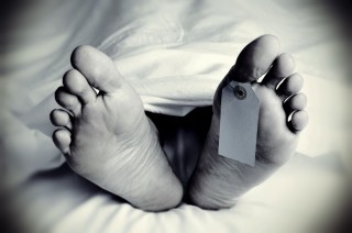 गाउँ पसेको हात्ती खेदाउँदा एकको मृत्यु