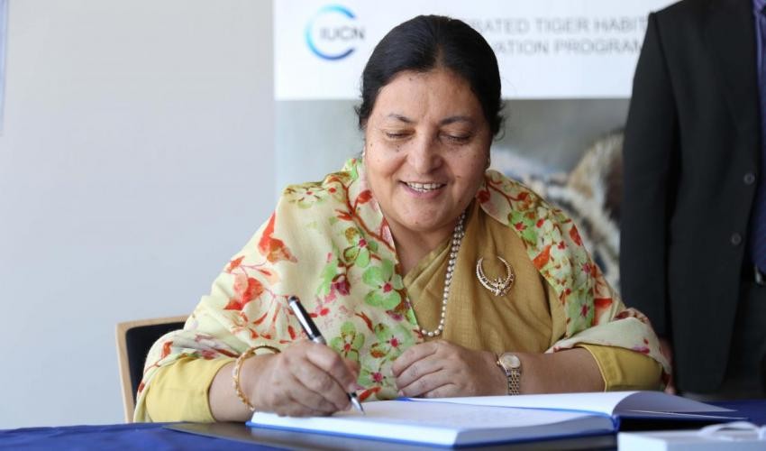 जसपासँग सौदावाजी होइन, यी तिन आधारका कारण अध्यादेशले नागरिकता प्राप्तिको गाँठो फुकायो