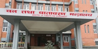 चुरे दोहन तथा विनाश हुने गरी ढुङ्गा, गिट्टी, बालुवा निकासी गरिँदैनः वन मन्त्रालय