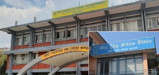 खाद्य र साल्ट ट्रेडिङद्वारा २० प्रतिशत छुट कार्यान्वयन, अब खाना पकाउने ग्यास १ हजार १२० रुपैयाँ मात्र