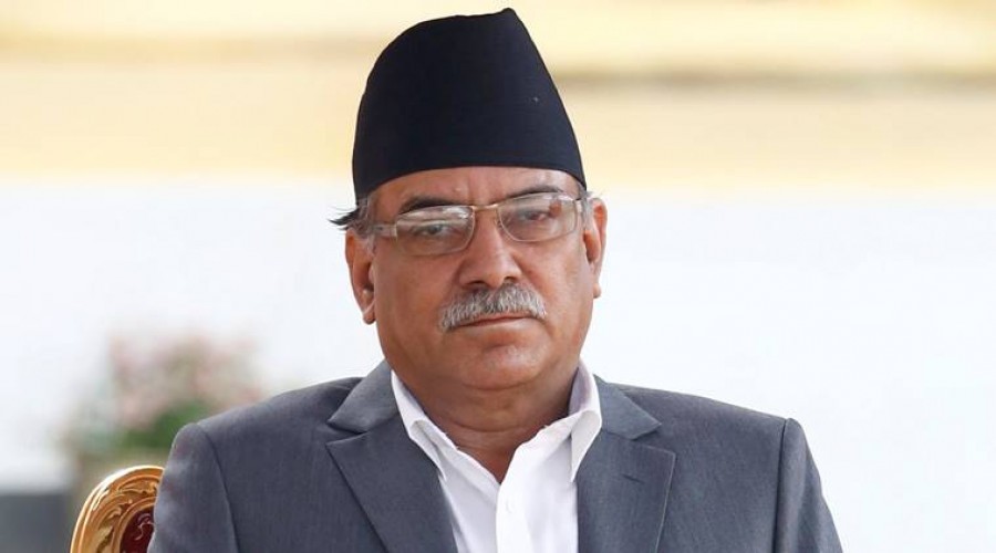 २० प्रतिशत युवालाई नीतिगत तहमा समेटिने छः दाहाल
