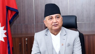 पार्टी एकता जोगाउन महासचिव पोखरेलको आह्वान