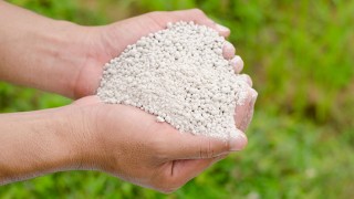 सर्लाहीमा मलमाथि लागेको प्रतिबन्ध फुकुवा