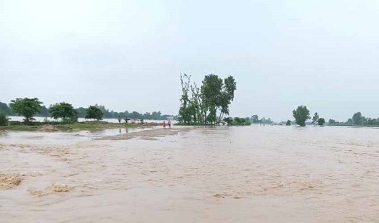 टीकापुर बजार क्षेत्र डुबानको जोखिममा: व्यापारी चिन्तित