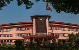 मन्त्रिपरिषद विस्तारविरुद्ध अन्तरिम आदेश, २० मन्त्री पदमुक्त