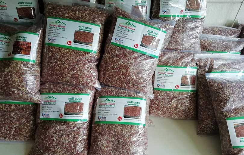 जैविक सिमी, कोदो र मार्सी चामल क्यानडा निर्यात गरिने