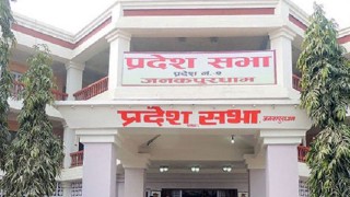 प्रदेश नं २ को मन्त्रिपरिषद् विस्तारविरूद्धको रिटमा अन्तरिम आदेश दिन अस्वीकार