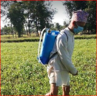 रासायनिक मलको माग बढ्दो, आपूर्ति घट्दो, मारमा किसान
