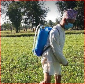 ‘कृषिप्रधान देशमा खोइ कृषि ऐन ?’