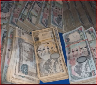 रु ४६ करोडभन्दा बढी राजस्व सङ्कलन