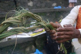 आज कुशे औँसी (गोकर्णे औँसी), पितृ स्मरण गरि मनाईँदै