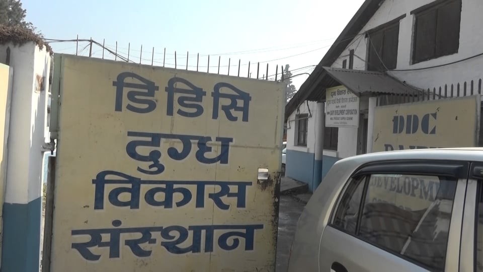 दुग्धविकास संस्थानमा कृषिमन्त्री यादवको नाङ्गो हस्तक्षेप