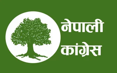 स्थानीय तह निर्वाचन : १९६ पालिका जित्दै कांग्रेस पहिलो स्थानमा