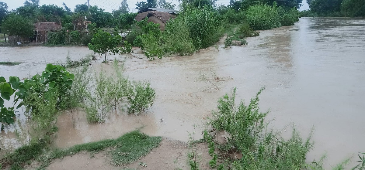 बाढीको त्रासले भजनीमा सयौँ बिघा जमिन बाँझै