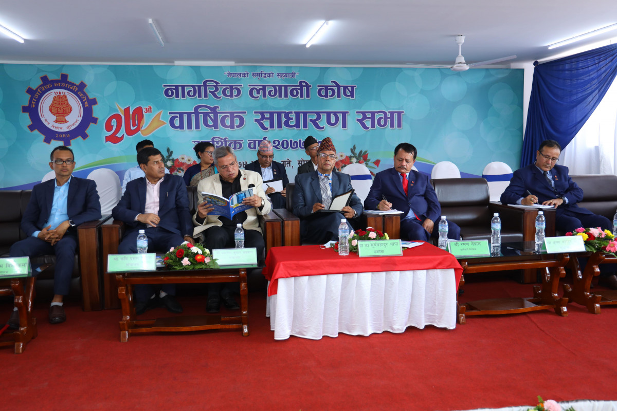 उत्पादनशील क्षेत्रमा लगानी विविधीकरण गरिने  