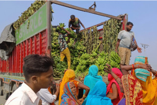 छठका लागि जनकपुरमा मात्रै तीन करोडको केरा आयात
