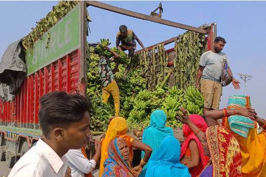 छठका लागि जनकपुरमा मात्रै तीन करोडको केरा आयात
