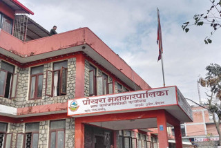 किसानको उत्पादनलाई बजारीकरण गर्दै पोखरा महानगर : कृषि एम्बुलेन्स सञ्चालनमा