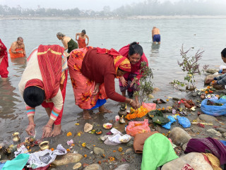 तुलसी र दामोदरको विवाह गरी हरिबोधिनी एकादशी पर्व मनाइँदै