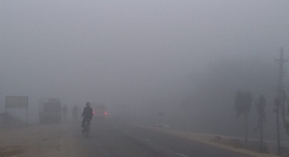 तराई मधेशमा अधिक शितलहर, बाक्लो कुहिराका कारण जनजीवन प्रभावित