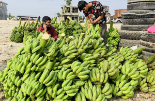 नेपाली केराले नै दसैँ, तिहार र छठ धान्ने, आयात नगर्न अनुरोध