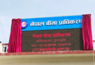 जेनजी प्रदर्शनः २२ अर्ब २५ करोड बराबरको बिमा दाबी
