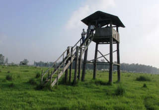 शुक्लाफाँटा राष्ट्रिय निकुञ्जमा जङ्गल सफारीका लागि रुट कायम